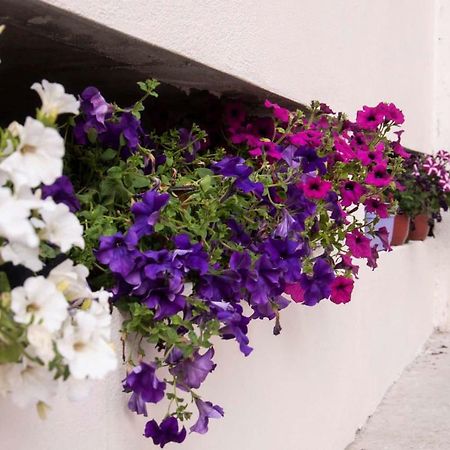 Apartments Ada Mostar Ngoại thất bức ảnh